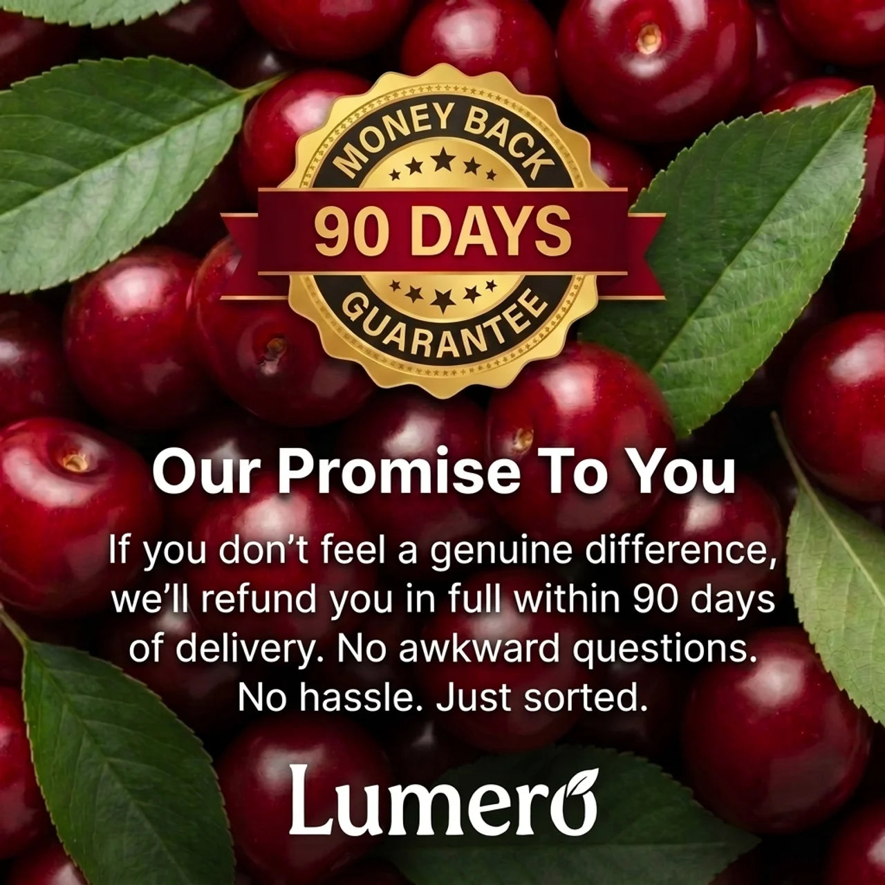 Lumero Tart Cherry Extract