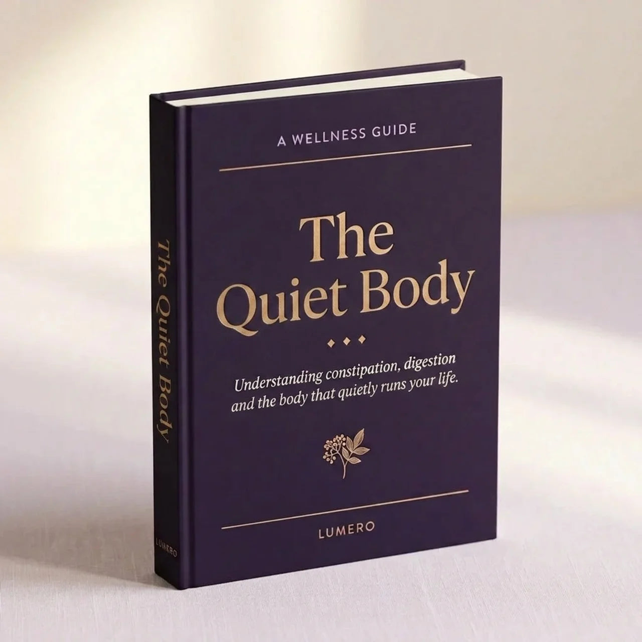 The Quiet Body: A Plain-English Wellness Guide