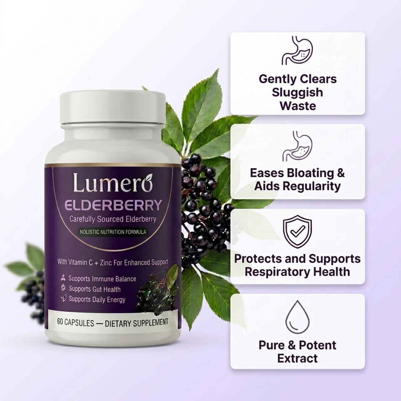 Lumero Elderberry: Daily Gut Health & Digestive Support