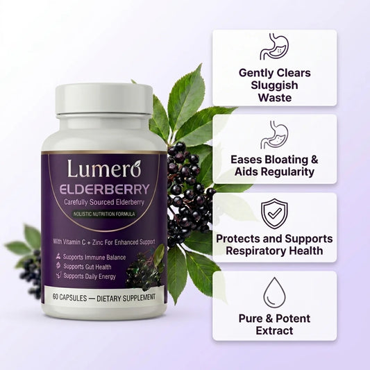 Lumero Elderberry: Daily Gut Health & Digestive Support