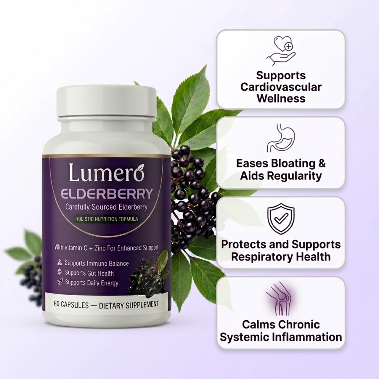Lumero Elderberry Complete: Daily Body Support