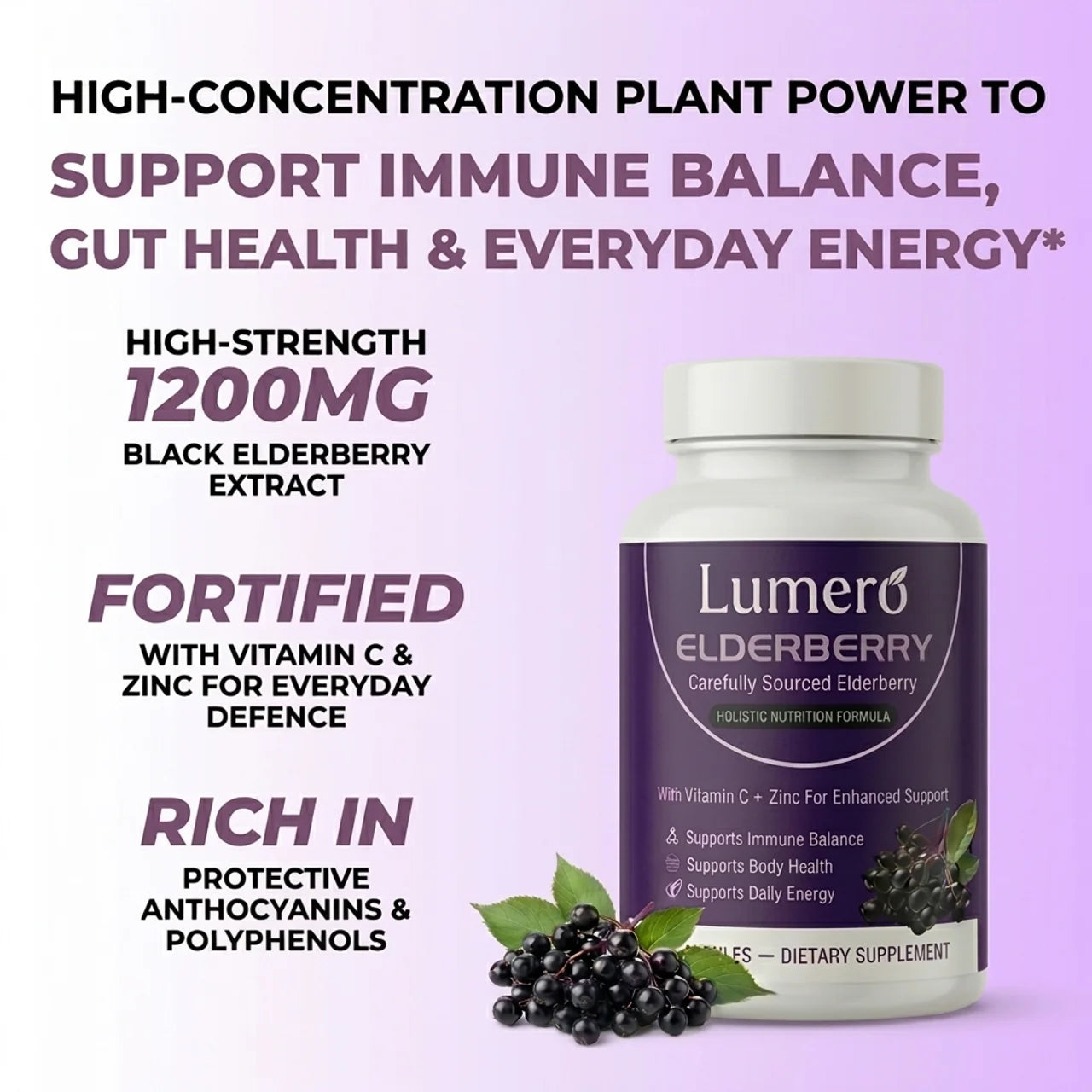 Lumero Elderberry: Daily Gut Health & Digestive Support