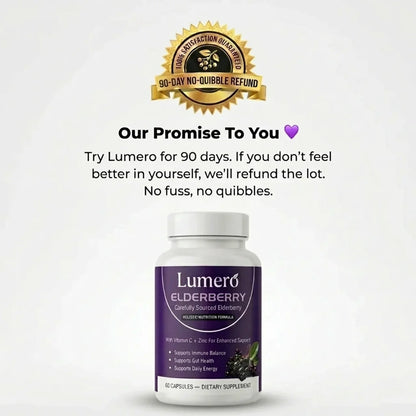 Lumero Elderberry: Daily Gut Health & Digestive Support