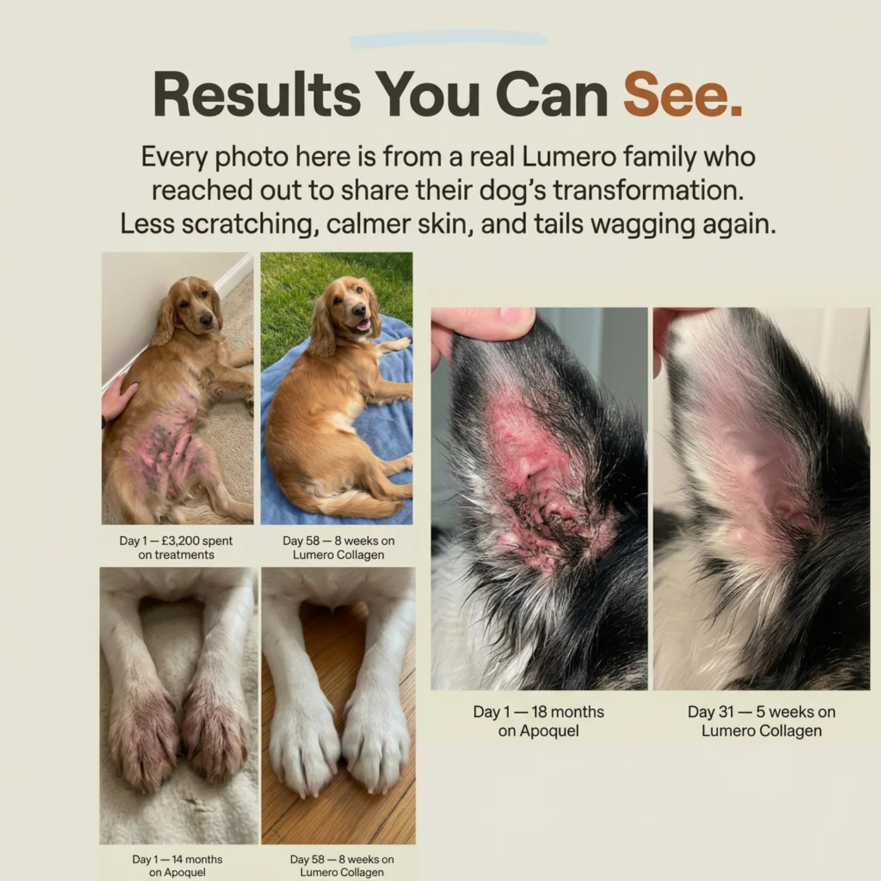 Lumero Advanced Liquid Collagen